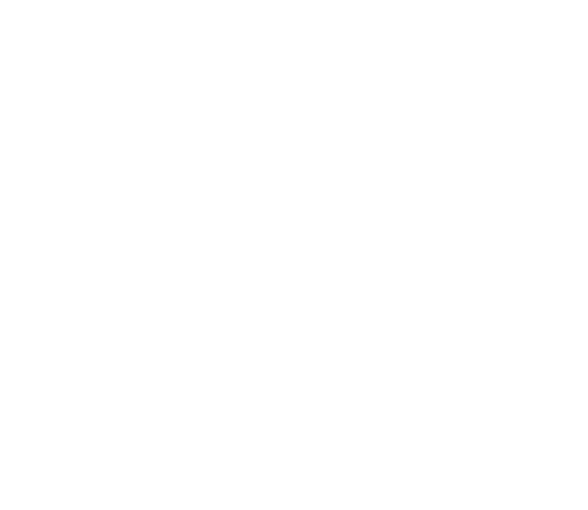 CronDrive Taxiservice NCC Bruneck Brunico